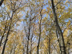 -森林公园(尖草坪区)