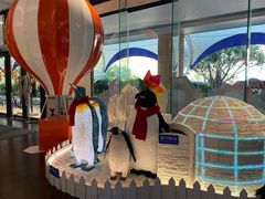 -帝企鹅自助餐厅•儿童岛•真企鹅(长隆企鹅酒店)