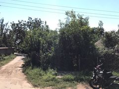 -十三陵水库