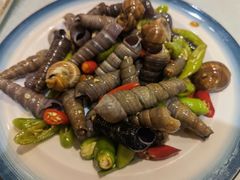 椒麻鲜汁捞三螺-小船渔村•大连菜•大连焖鱼(明泽街店)