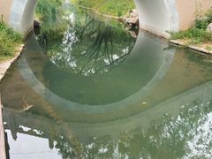 -北坞公园