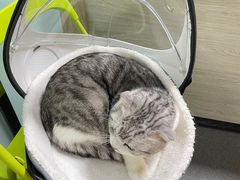 -半岛宠物医院24小时(科华中路店)