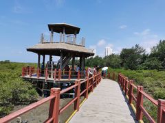 -北海金海湾红树林生态旅游区