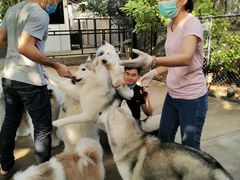 momo-TrueLove @ Neverland (Husky Cafe)