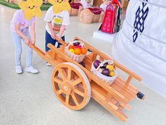 -呼和浩特市老牛儿童探索馆
