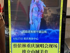 -李子坝梁山鸡(李子坝大鸡哥店)