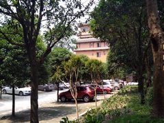 -江湾神木园