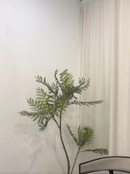 -张小野·专业半永久纹眉