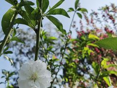 -桃花涧