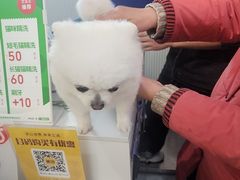 -它主义宠物(梁溪万达店)