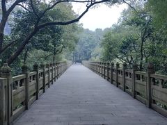 -南山植物园