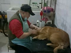 -酷狗靓猫宠物·洗护·美容·寄养(航北路店)