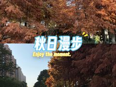 -映月湖中央公园