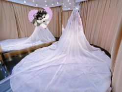 -拉瑞娜LaReine婚纱礼服高级定制