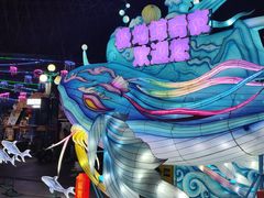 -海合安武汉极地海洋公园
