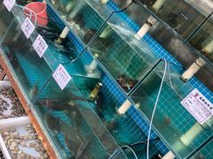 -天伦海鲜·老味道·青岛菜(栈桥天主教堂店)