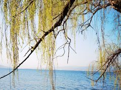-西昌邛海湿地