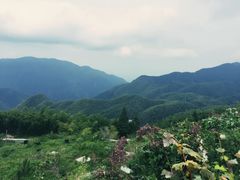 -江南天池