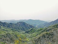 -大岭沟猕猴桃谷风景区