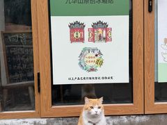 -九华山风景区