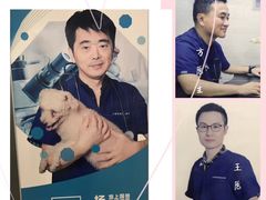 -爱侣宠医·鹦鹉专科·小型哺乳类·异宠专科(灵石路店)