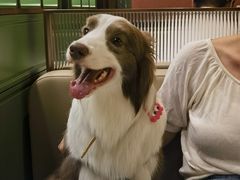 -神仙馆(衡山路店)