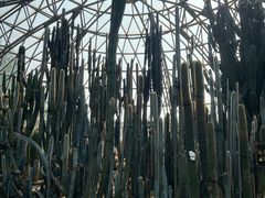 -深圳仙湖植物园