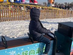 -绿野森林乐园冰雪季
