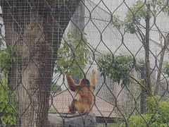-武汉动物园