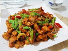 -煲来饱去冷水鱼