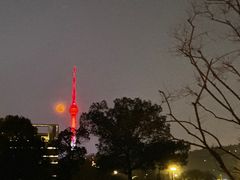-龟山风景区-龟山电视塔