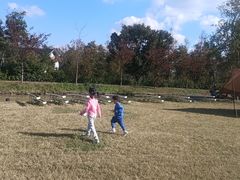 -前小桔亲子创意农场·草莓采摘·露营烧烤