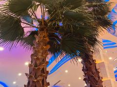 -碧中海汤泉汗蒸酒店