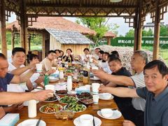 -南汇新场正宗水蜜桃采摘