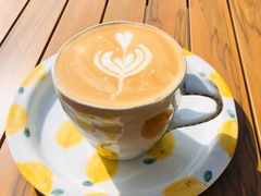 -COMPANION COFFEE小伴咖啡