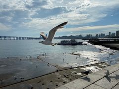 -星海广场