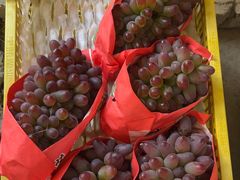 -马陆小张葡萄园农家乐