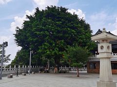 -惠州泗洲塔
