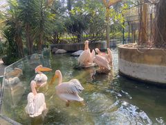 -灵玲国际马戏城