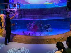 -沈阳海洋探索中心