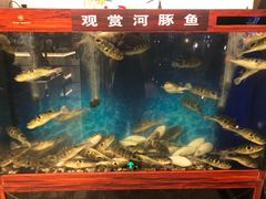 水产区-肆月河豚·新淮扬(金融街店)