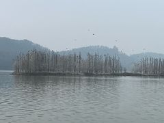 -东湖落雁景区
