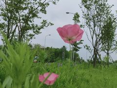 -国际非物质文化遗产博览园