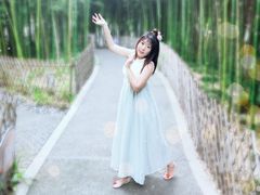 -陈家山荷花公园