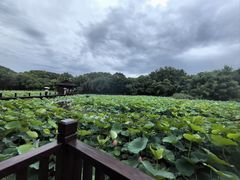 -兰亭风景区