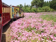 -歌斐颂巧克力小镇