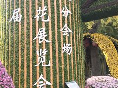 -汇龙潭