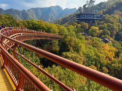 -少华山国家森林公园