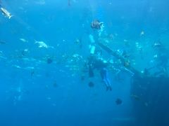 -瑞德姆美人鱼海底演艺主题餐厅(亚龙湾店)