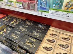 -陕西自然博物馆